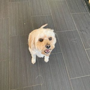 Meet your Posher, Jill